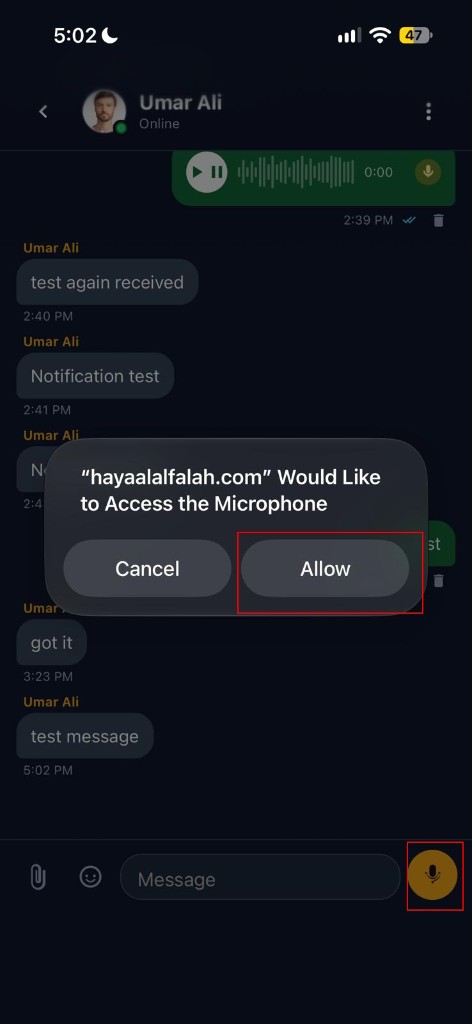 Microphone permission Allow and mic button